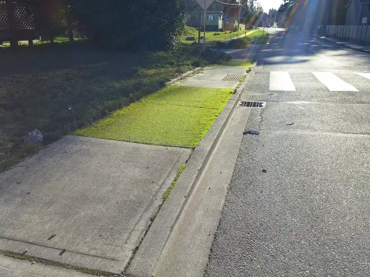 Concrete sidewalk panels with control joints beside a street